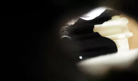 Ela stuck o galo entre bbw fãs e cums melhores videos porno brasileiros em dela boca
