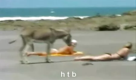 As pessoas melhor vídeo porno do mesmo curso jogar trem íntimo