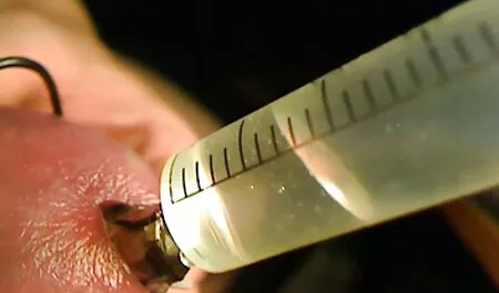 Uma jovem sereia levou os tártaros para abrir as pernas e vídeo pornô da mulher deixar Yalda entrar nos brotos úmidos