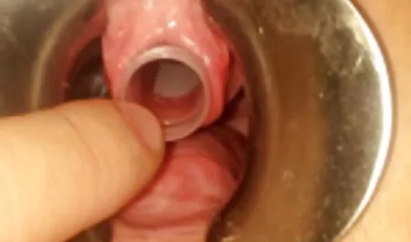 Ele levantou a perna como um cachorro e deu o ânus do fofo para Lamber o cliente no xvídeos pornô gratuito sofá