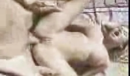 Daniella dior os melhores vídeos pornô brasileiro